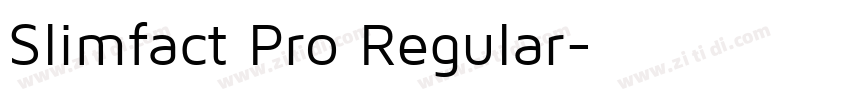 Slimfact Pro Regular字体转换